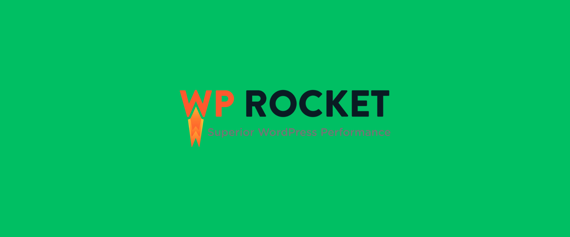 WPRocket alternatives- Why Consider WP Rocket Alternatives