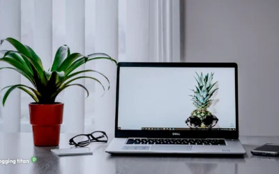 Fillout vs Zite: Same Company, Different Jobs, Separate Bills